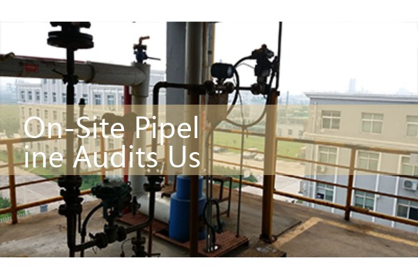 On-Site Pipeline Audits Using an Endress Hauser Portable Ultrasonic Flow Meter